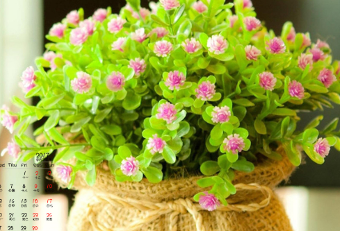 1688525358972199.png image.png