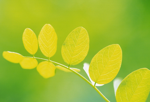 1688525701888756.png image.png