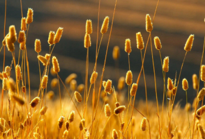 ​水浒传的读后感