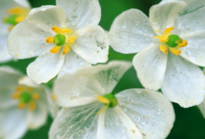 ​书信开头结尾的常用句型