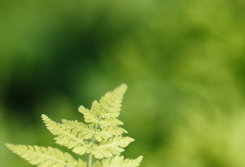 1688526388684446.png image.png