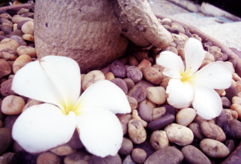 1688527074764790.png image.png