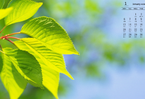 1688527933859967.png image.png