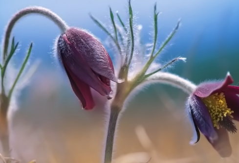 1688528104167570.png image.png