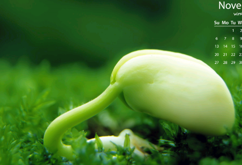 1688528790984955.png image.png