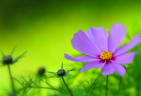 1688528962654954.png image.png