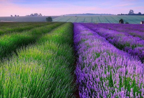 1688529992755365.png image.png