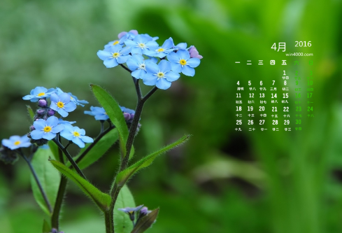 1688531021343704.png image.png