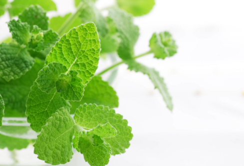 1688531364308921.png image.png