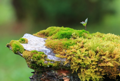 1688531879126187.png image.png