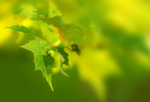 1688532222962507.png image.png