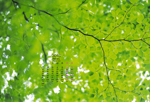 1688532565287138.png image.png