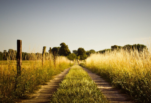 1688533079347277.png image.png