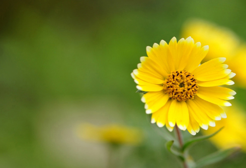 1688533594132436.png image.png