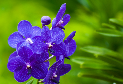 1688533766872118.png image.png