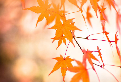 1688534624752740.png image.png