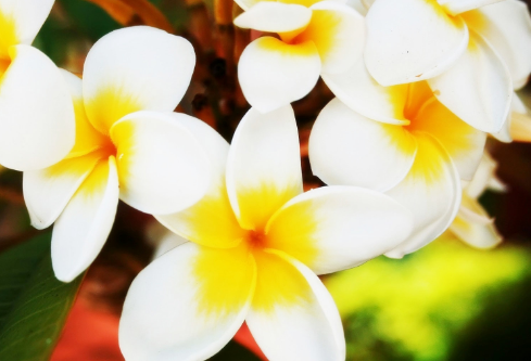 1688534796501916.png image.png