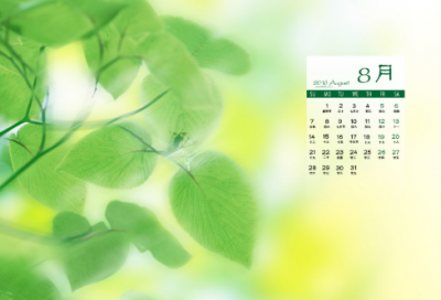 ​亚米契斯爱的教育读后感