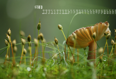 ​家长致老师的一封书信