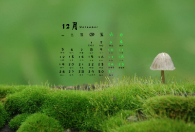 ​古堡里的月亮公主读后感