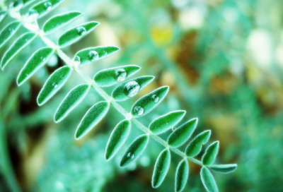 ​产品质量保证书范文