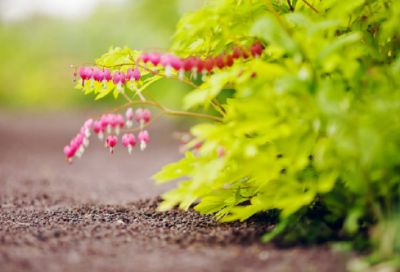 ​安全责任书范文