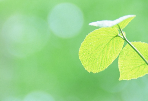 1688547166460286.png image.png