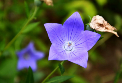 ​关于给朋友写一封信优秀范文
