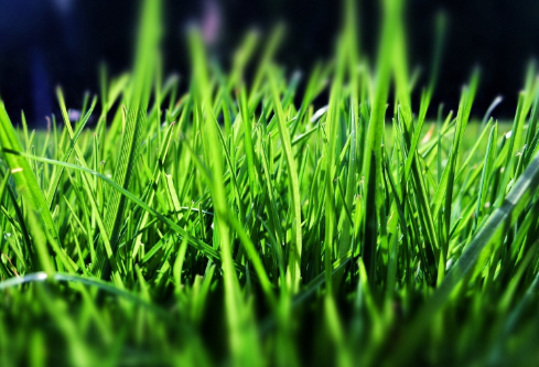 1688549397742609.png image.png