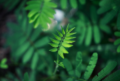 ​厄运打不垮的信念读后感