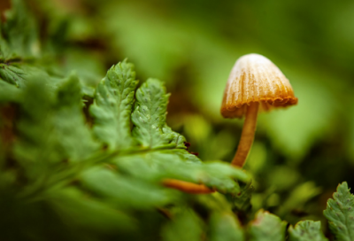 ​离婚承诺书范文