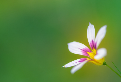 1688555058994206.png image.png