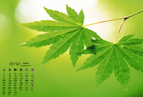 1688555402936033.png image.png