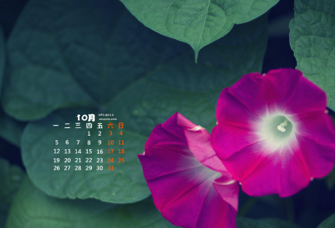 1688555574716461.png image.png