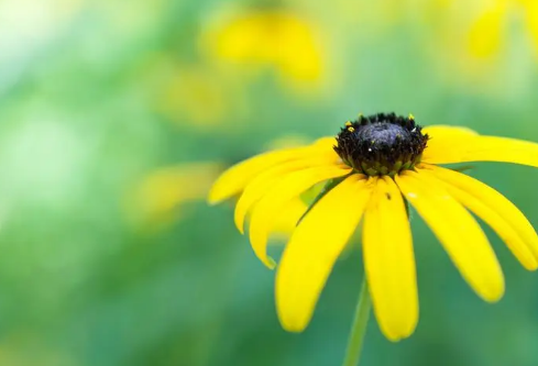 1688556431646881.png image.png