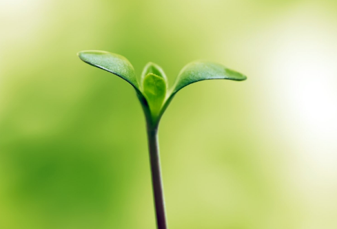 1688556603498134.png image.png