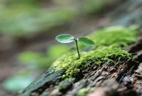 1688557118292153.png image.png