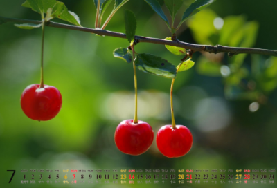 ​离职报告申请范文精选