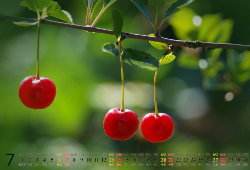 1688557976912314.png image.png