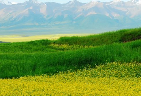 1688563465477971.png image.png