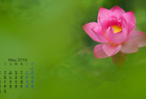 1688563637247441.png image.png