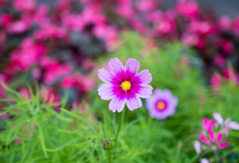 1688564495484287.png image.png