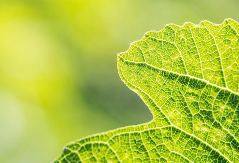 1688564666689880.png image.png