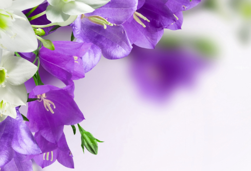 1688565353778706.png image.png