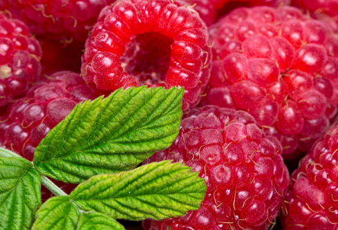 1688566563342403.png image.png