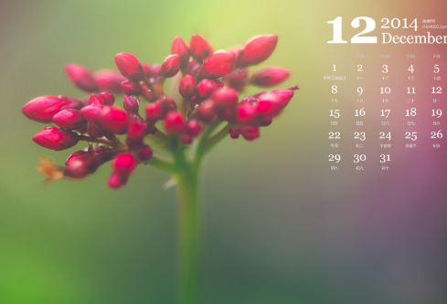 1688567591238226.png image.png