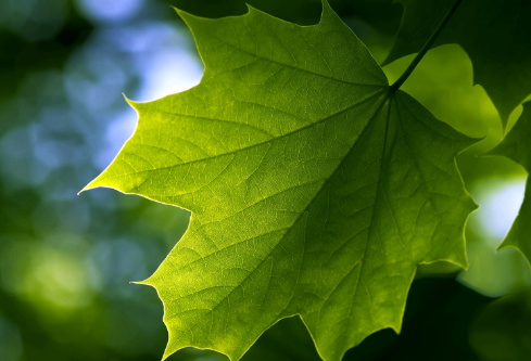 1688568963425589.png image.png