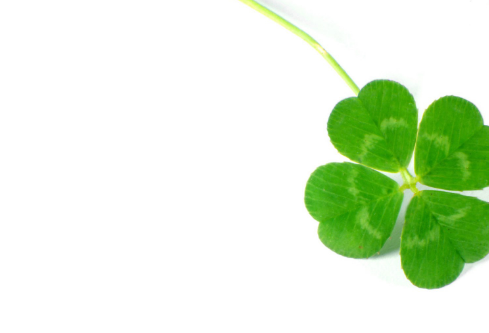 1688570506624102.png image.png