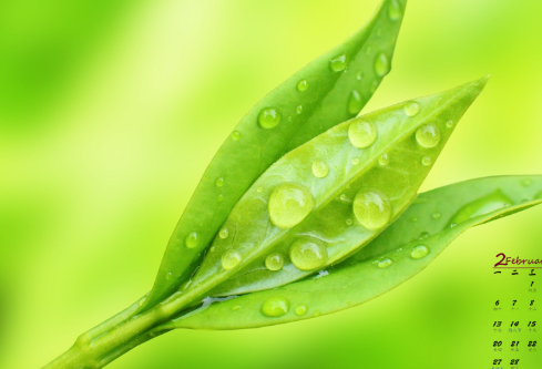 1688571364541713.png image.png