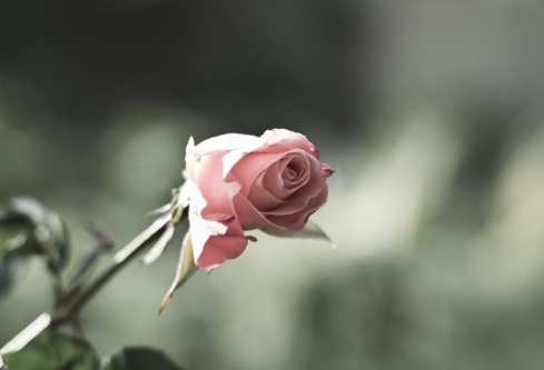 1688571535624090.png image.png